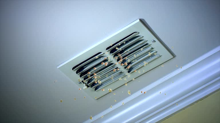 Best HVAC Duct Inspection Services  in Hanamaulu, HI