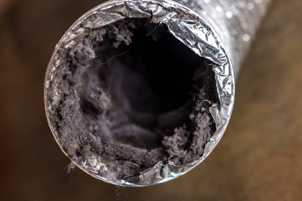 Best HVAC Air Duct Cleaning  in Hanamaulu, HI